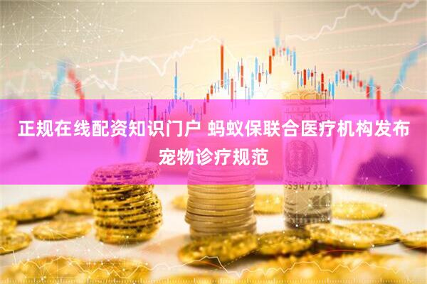 正规在线配资知识门户 蚂蚁保联合医疗机构发布宠物诊疗规范
